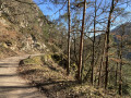 De Ribeauvillé au Monastère du Dusenbach par les bois De Ribeauvillé au Monastère du Dusenbach par les bois