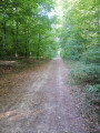 De très beaux chemins