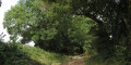 Preston, Dead Woman's Lane and Wain Wood