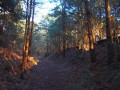 Deadmans Covert