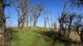 Déambulation champêtre Déambulation champêtre