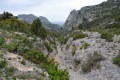 Début d'un joli vallon Début d'un joli vallon