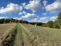 De vallée en coteaux à Bajamont