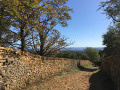 Début de la balade