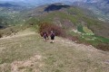début de la descente