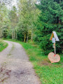 Début de la promenade