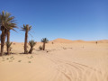 La grande dune d'Hassi-Labied
