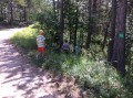 Début du chemin pour la descente Début du chemin pour la descente