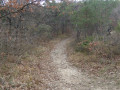 Début du sentier bois de Fontbrenous Début du sentier bois de Fontbrenous