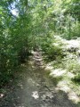 Sentier Botanique du Bois de Sizay