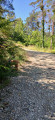 The Roquesteron botanical trail Le sentier botanique de Roquesteron