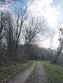 Début du sentier