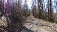 Début du sentier