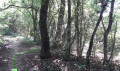Début du sentier Début du sentier