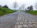 Début route pavée