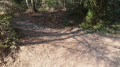 début sentier forestier début sentier forestier