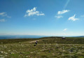 Le Mont Lozère depuis Finiels