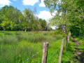 Découverte des prairies humides