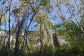 Des bois de Chapulay au château de Septème Des bois de Chapulay au château de Septème