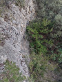 De la citerne à Vaugine par le Rocher de Curet