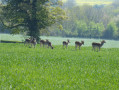 From Burbage follow Lover to Savernake and Kennet and Avon Canal