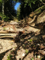 Dégradation du chemin