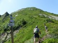Dent d'Orlu