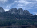 L’Abbaye de Prébayon et les Cyprès des Évêques depuis Vaison-La-Romaine