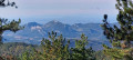 Dentelles de Montmirail