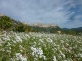 Die Tour durch die Dentelles de Montmirail