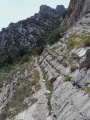 Dentelles de Montmirail