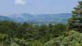 Dentelles de Montmirail
