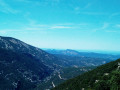 Dentelles de Montmirail