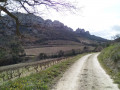 Dentelles Sarrasines