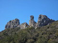 Dents de roque Forcade