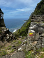 Lajes das Flores