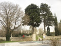 Départ de la randonnée : entrée du parc du château