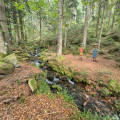 Circuit de Haute Loge sur le sentier des Passeurs