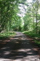 En forêt de Moulière