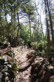 Départ du bon et beau chemin hors balisage
