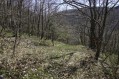 Départ du sentier au point 6