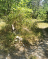 Strat of the main walk towards la borie (1)