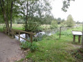 Forêt du Gâvre