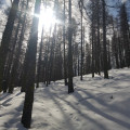Départ par la forêt