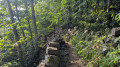 Chemin ombrag&eacute; pr&egrave;s des orgues .