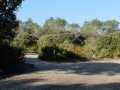 Die Corniche de l'Hortus