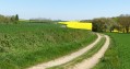 Les Lavoirs de Voulx et Diant Les Lavoirs de Voulx et Diant