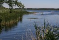 Etang de Lachaussée et ses plans d'eau satellites Etang de Lachaussée et ses plans d'eau satellites