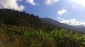 Le tour de la Forêt Départemento-Domaniale des Makes