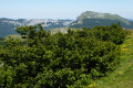 Tête de la Dame - Bec Pointu - Courcousson depuis les Arbods